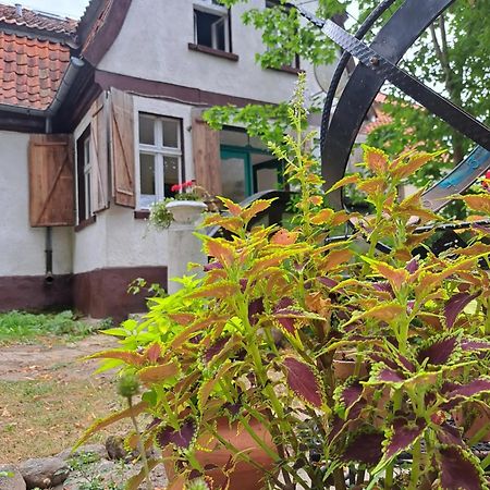 Dom Na Mazurach Pilec Bed & Breakfast Luaran gambar