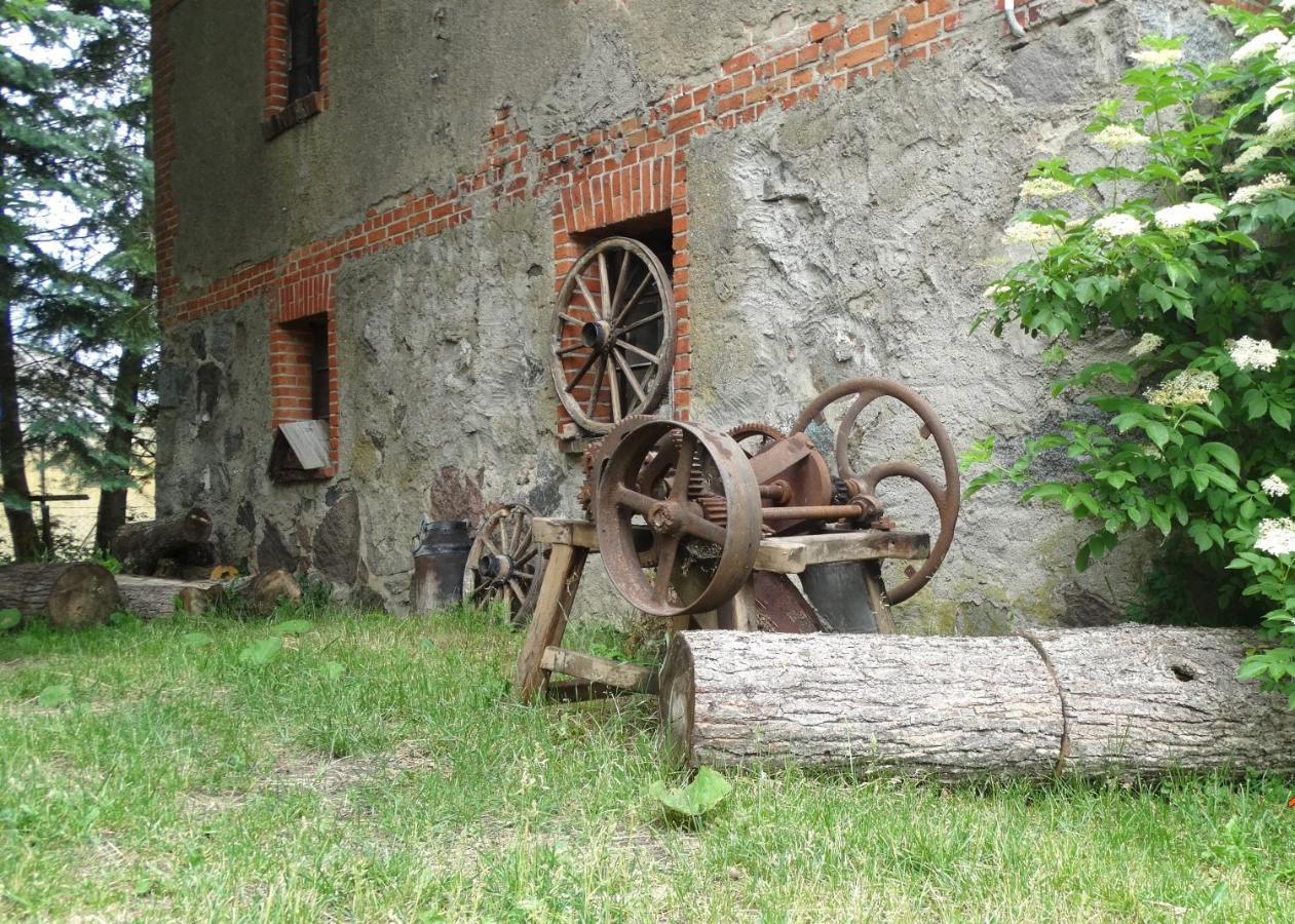 Dom Na Mazurach Pilec Bed & Breakfast Luaran gambar
