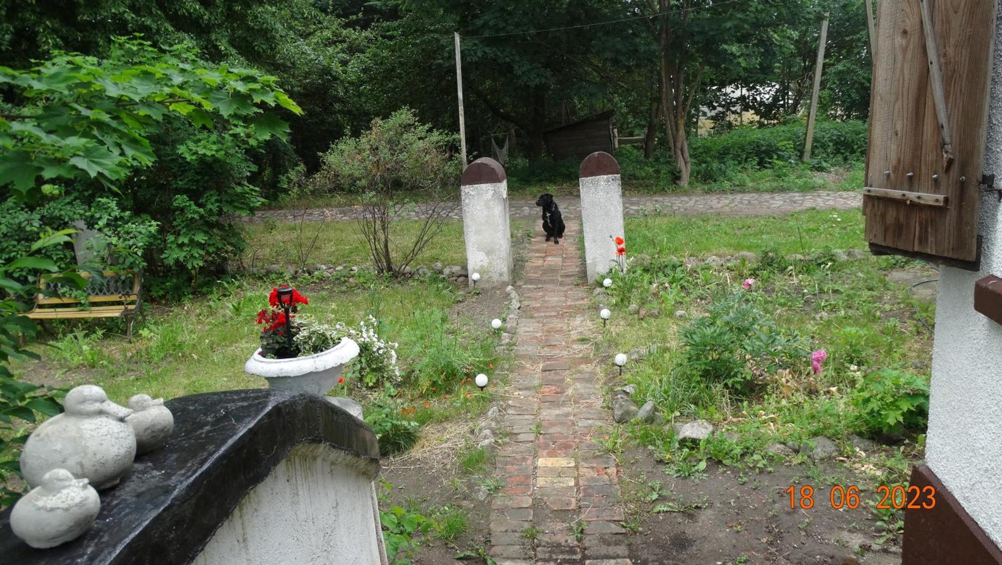 Dom Na Mazurach Pilec Bed & Breakfast Luaran gambar
